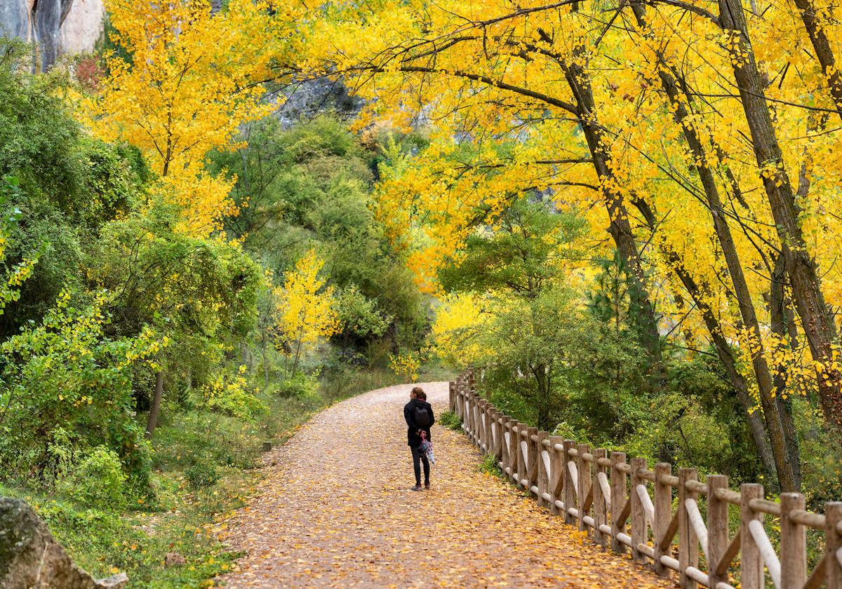 Cuenca in autumn.